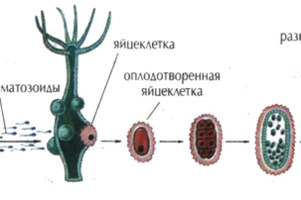 Кракен вход krakens13 at