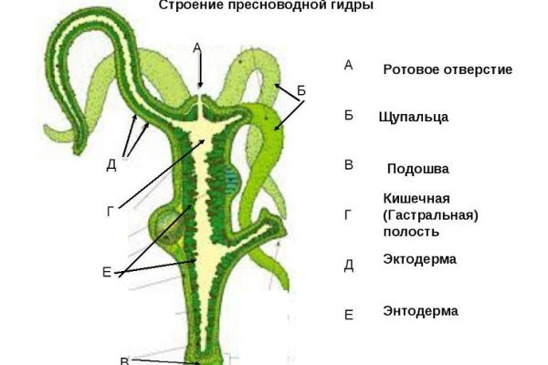 Кракен ссылка тор kraken014 com