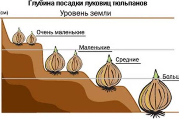 Как зарегаться в кракен