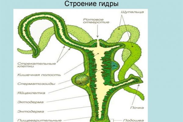 Кракен нарка шоп