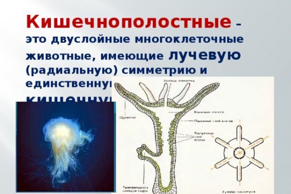 Ссылка на кракен tor